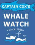Captain Cox's Whale Watch since 1986